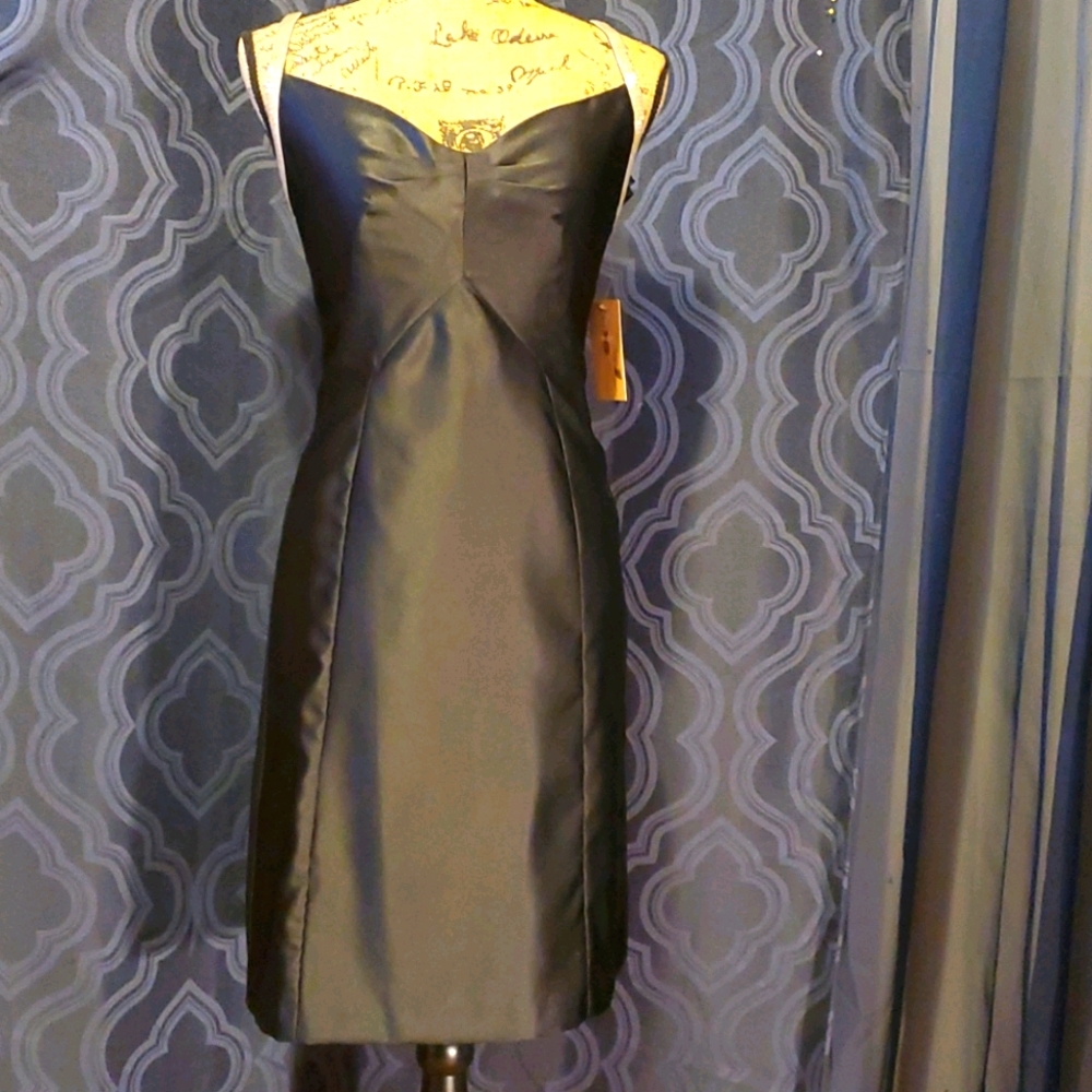 Ventage dress beautiful and classy